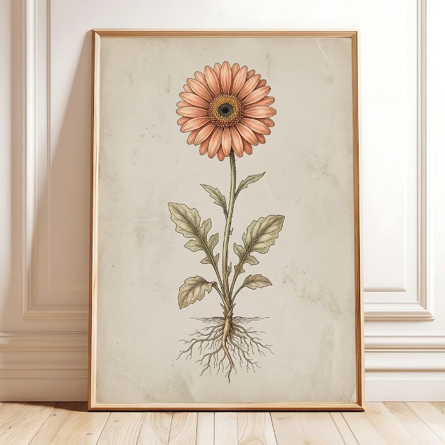 Impression d'art mural de gerbera marguerite vinta (Créateur téléchargé)
