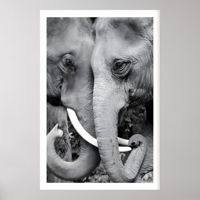 Impression d'art mural d'éléphant en gros plan noi (Devant)