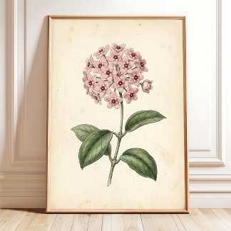 Impression d'art mural floral botanique vintage