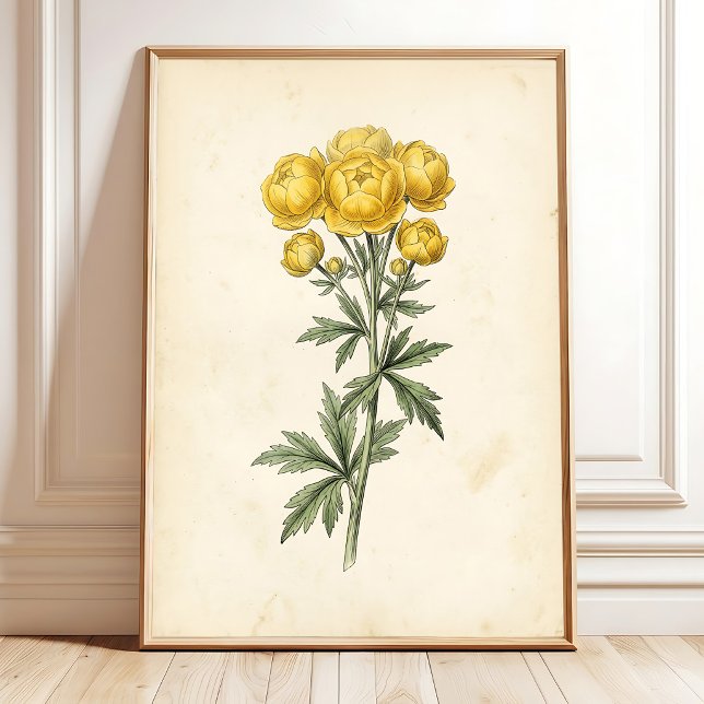 Impression d'art mural sur toile botanique vintage (Créateur téléchargé)