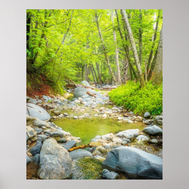 Impression d'art photo de paysage naturel de Fores (Devant)
