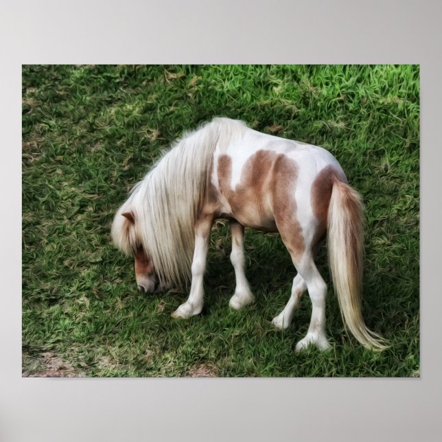 Impression d'art photographique de joli poney rêve (Devant)