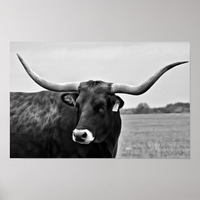 Impression d'art photographique de vache Longhorn (Devant)