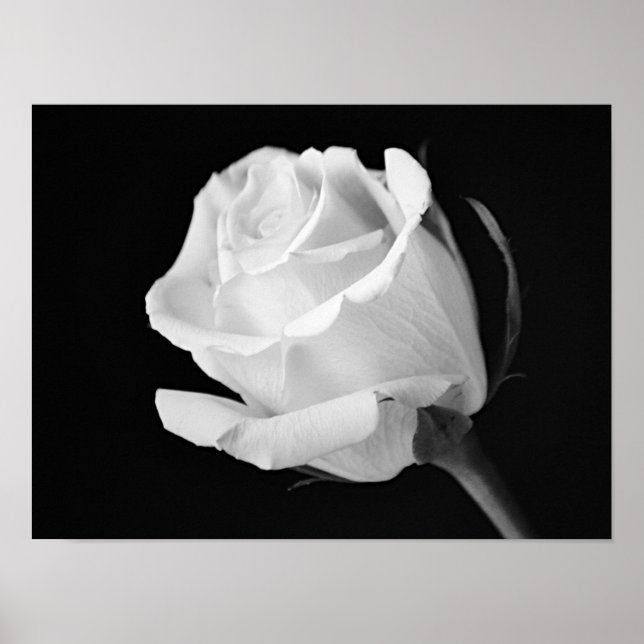 Impression d'art photographique en noir et blanc R (Devant)