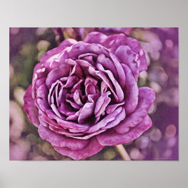 Impression d'art photographique Rose Pourpre (Devant)