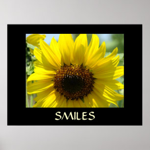 Impression d'art SMILES Tournesols jaunes Art mura
