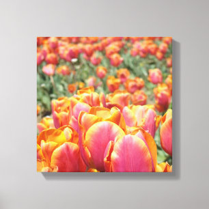 impression d'art sur toile 12x12 Fleurs de Tulipe