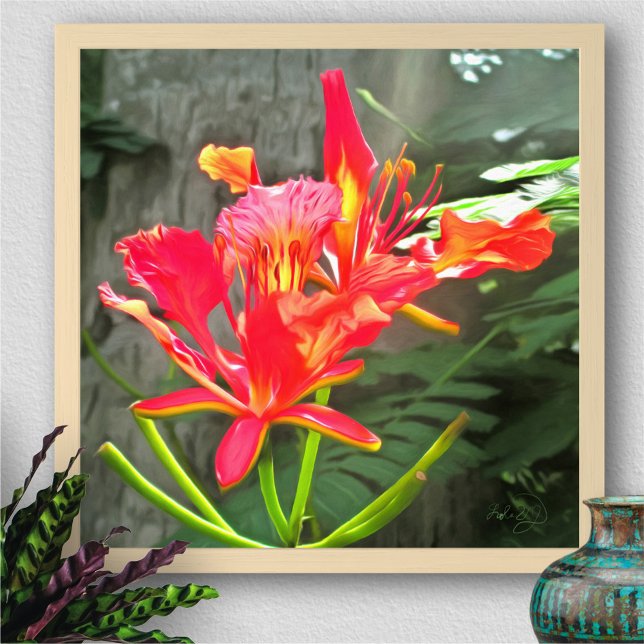 Impression d'art Vallarta Flaming Beauty 1583 (Créateur téléchargé)