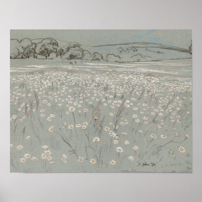 Impression d'art vintage de champ de fleurs blanch (Devant)