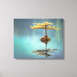 IMPRESSION DE CANVAS STRETCHÉ : ARBRE SUR UNE ÎL