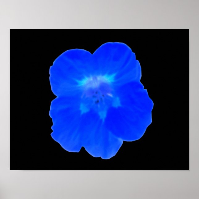 Impression de Capucine Bleue (Devant)