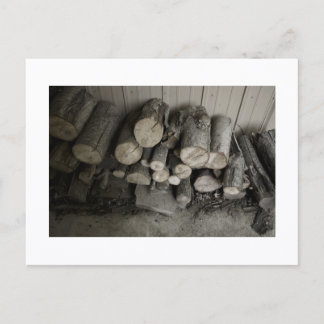 Impression de carte postale de loup abordable
