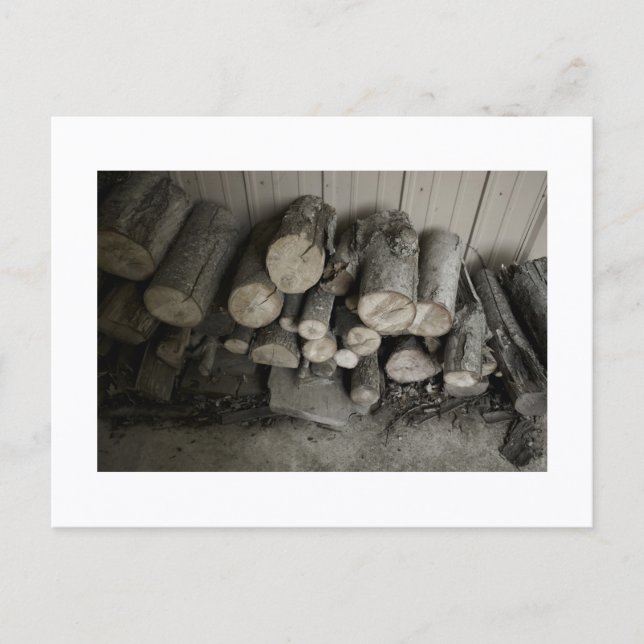 Impression de carte postale de loup abordable (Devant)
