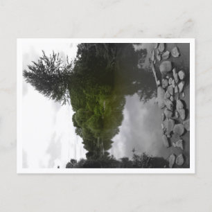 Impression de carte postale de loup abordable