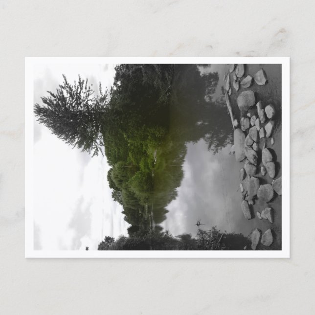 Impression de carte postale de loup abordable (Devant)