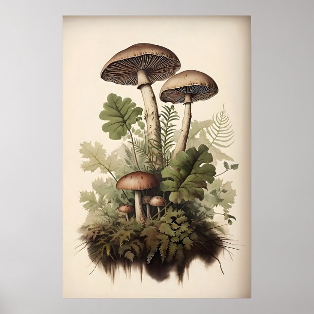Impression de champignon botanique, fougère mousse (Devant)