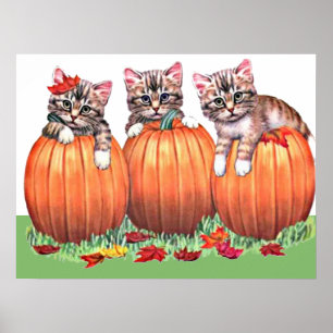 Impression de chatons sur citrouilles