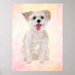 Impression de chien Morkie sur fond coloré