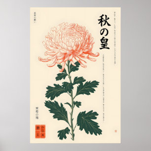 Impression de Chrysanthème Japonais sur Mur de Sty