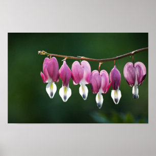 Impression de coeurs délicats