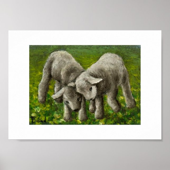 Impression de combat d'agneau (Devant)