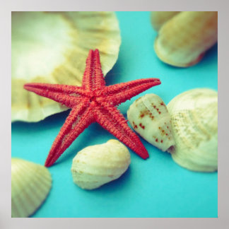 impression de coquille