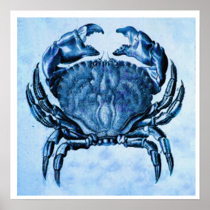 Impression de crabe bleu vintage