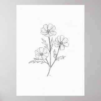 Impression de dessin au crayon Cosmo