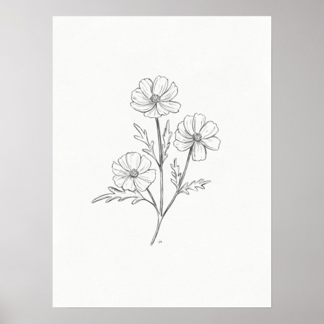 Impression de dessin au crayon Cosmo (Devant)