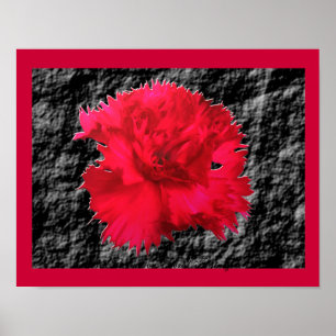 Impression de fantaisie florale d'œillet rouge