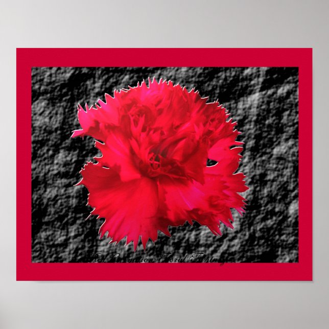 Impression de fantaisie florale d'œillet rouge (Devant)
