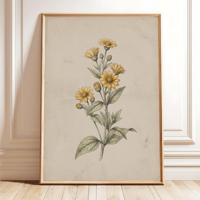 Impression de fleur de Melampodium vintage sur toi (Créateur téléchargé)