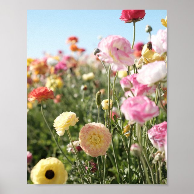 Impression de fleurs colorées, papier pour affiche (Devant)