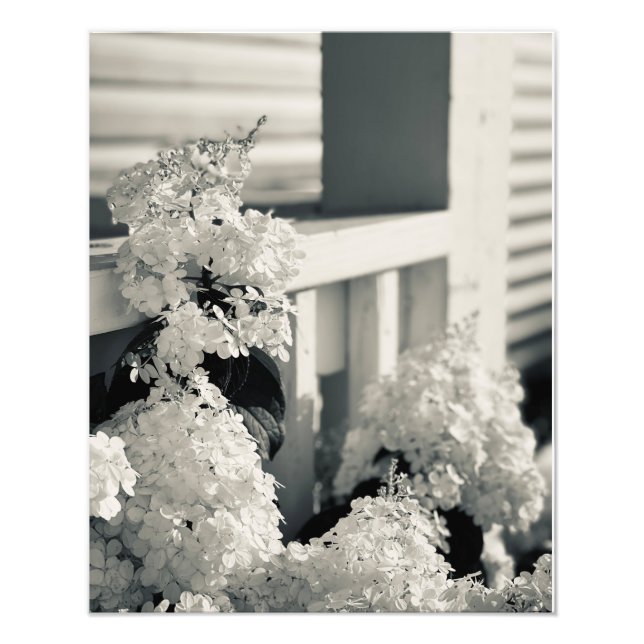 Impression de fleurs noir et blanc (Devant)