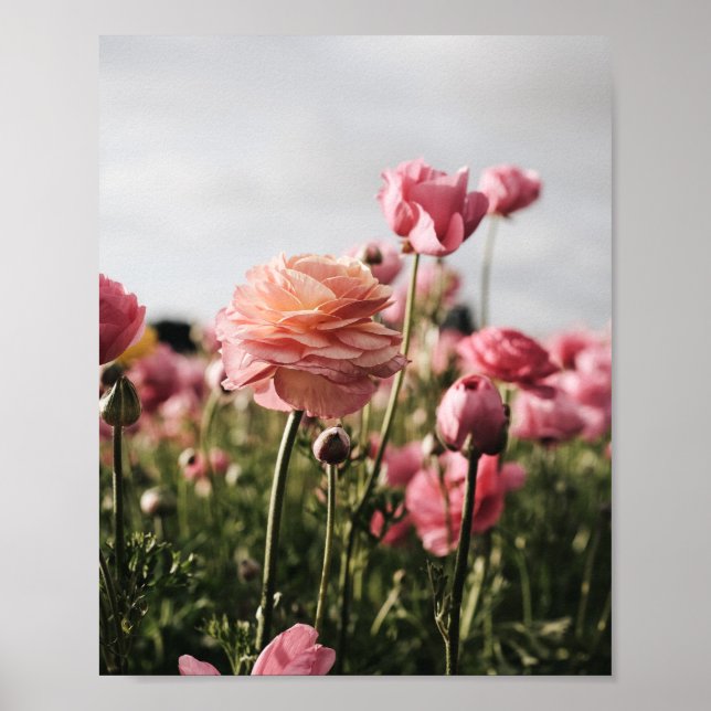 Impression de fleurs, papier d'affiche de valeur ( (Devant)