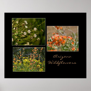 impression de fleurs sauvages d'Arizona