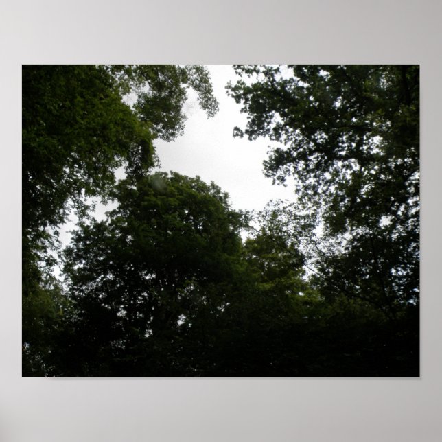 Impression de forêt inquiétante (Devant)
