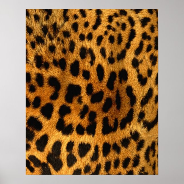 Impression de fourrure Leopard (Devant)