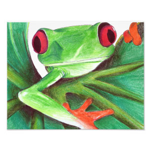 impression de grenouille mignonne