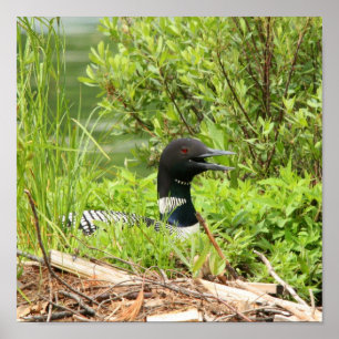 Impression de la carte d'imbrication