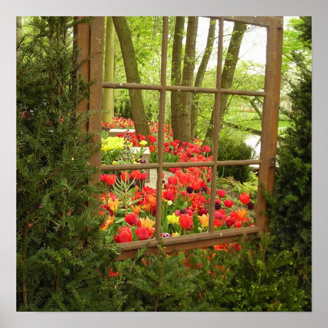 Impression de la fenêtre Tulip (Devant)