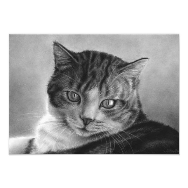 Impression de la photo de chat de Lazy Afternoons (Devant)