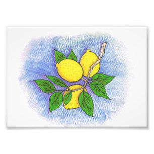 Impression de la photo d'illustration citron