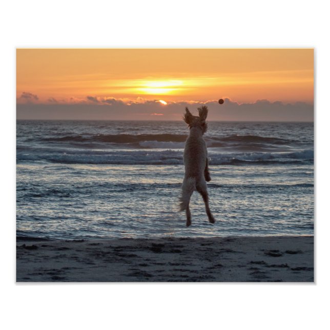 Impression de la photo "Live Large" Beach Sunset ( (Devant)
