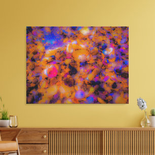 Impression de la plage, rochers et coquillages