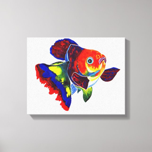 Impression de la toile Calico Veiltail Goldfish (Recto)