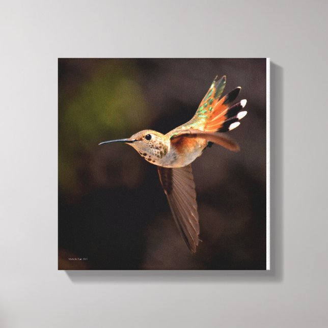 Impression de la toile de colibri (Recto)