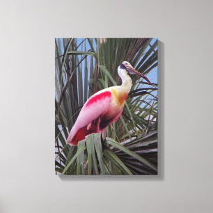 Impression de la toile de projet de loi de porte d