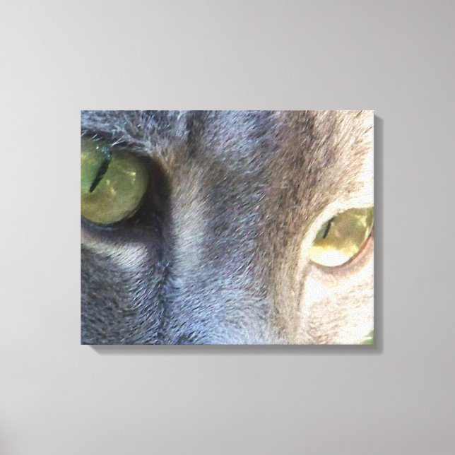 Impression de la toile de visage de chat gris (Recto)