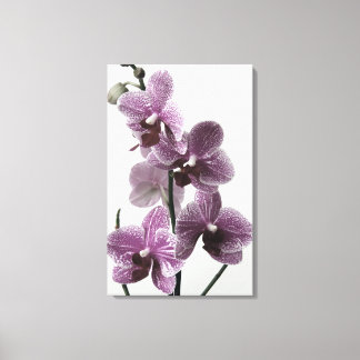 Impression de la toile orchidée